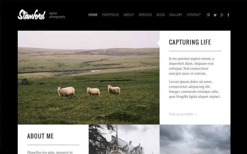 Stamford Drupal Theme
